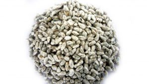 distribuidor de semilla de algodon en mexico materias primas industria