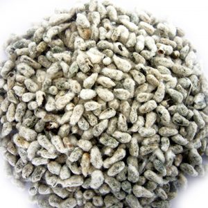 distribuidor de semilla de algodon en mexico materias primas industria